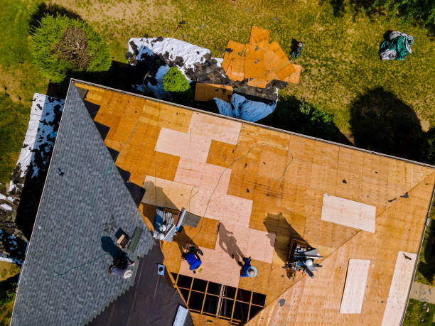 Best Roof Gutter Cleaning  in Wilmer, TX